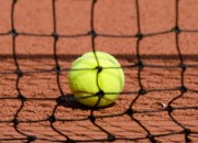 TennisBallOnCourt of [dan] / FreeDigitalPhotos.net