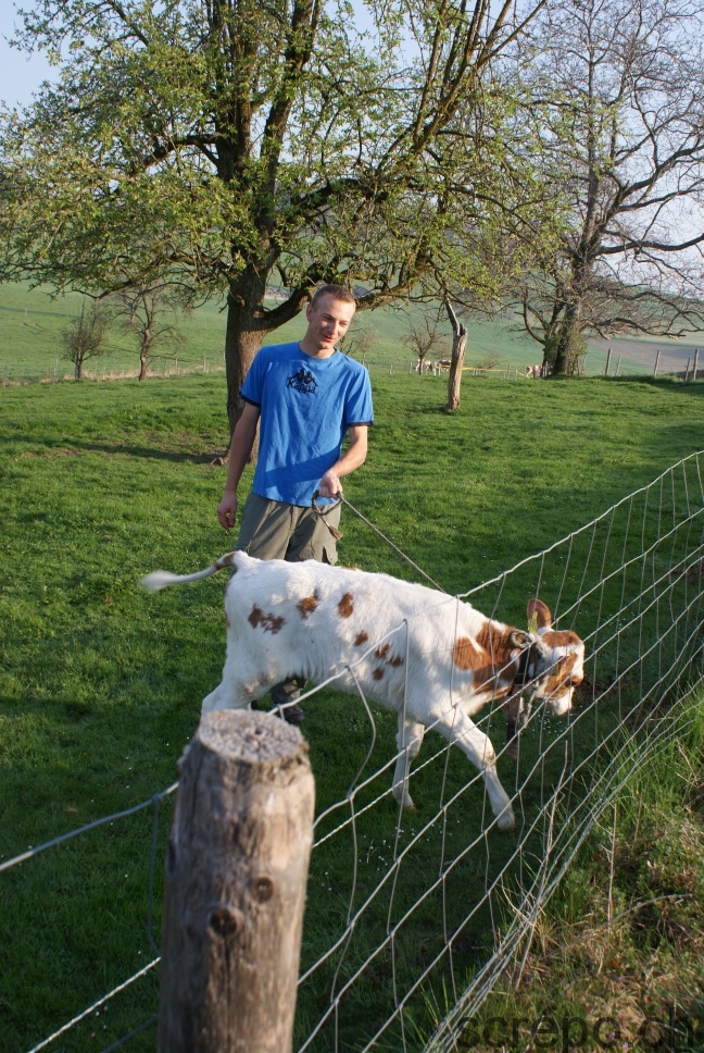 polterabend_hubert_bruelhart__10_20100425_1618506879