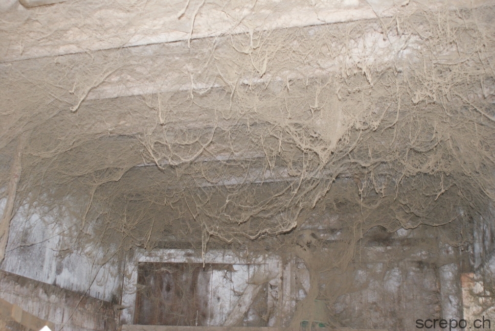 polterabend_hubert_bruelhart__15_20100425_1415880686